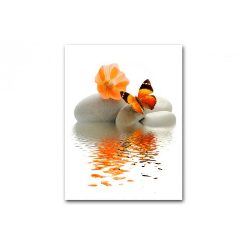 Tableau Zen Papillon Orange Sur Galet L.55 x H.80 cm  ALIA Multicolore 3S. x Home Meuble & Déco