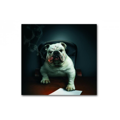 3S. x Home - Tableau Animaux Chien Bulldog avec Cigare 50X50 cm - Décoration Murale Design