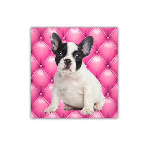 3S. x Home - Tableau Animaux Chien Bulldog Fond Rose Capitonné 50X50 cm - Décoration Murale Design
