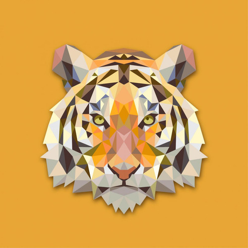 3S. x Home - Tableau Animaux Tigre Orange 50X50 - Tableau Et Toile Design