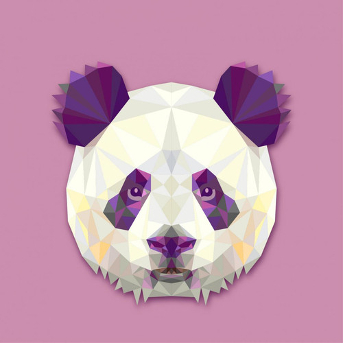 Tableau Animaux Panda 60X60  OMAR Violet 3S. x Home Meuble & Déco