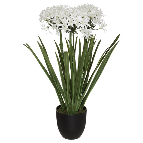 Plante artificiel Agapanthe H 66 cm Blanc 3S. x Home Meuble & Déco