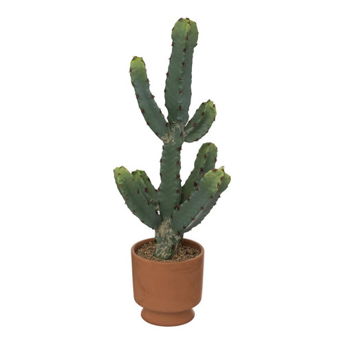 Cactus en pot "Alicante" terracotta H49cm Orange 3S. x Home Meuble & Déco