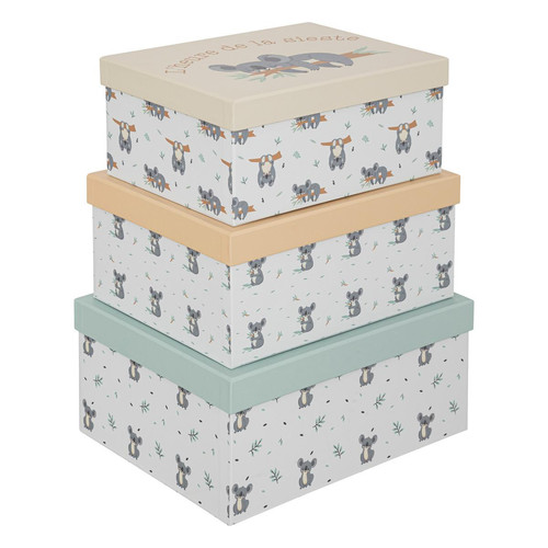 Set de 3 boîtes "Koala" en carton Vert 3S. x Home Meuble & Déco
