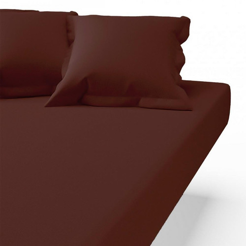 3S. x Tertio (Nos Unis) - Drap-housse coton TERTIO® - Chocolat - Draps housse 140 x 190 cm