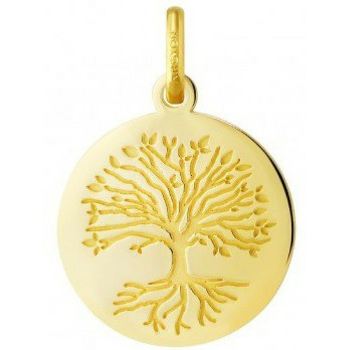 Argyor - Médaille Argyor 248400212 H1.6 cm - Or Jaune 750/1000 - Naissance et baptême