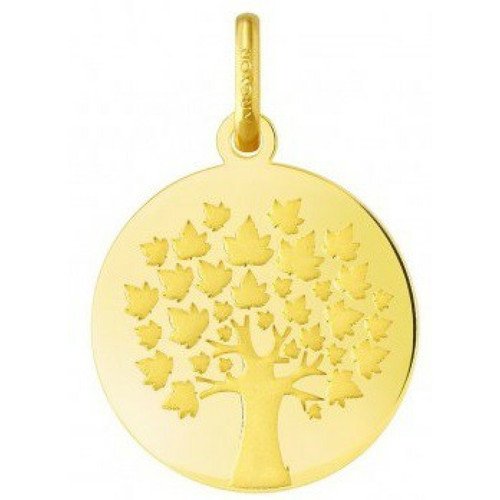 Argyor - Médaille Argyor 248400221 H1.8 cm - Or Jaune 750/1000 - Naissance et baptême