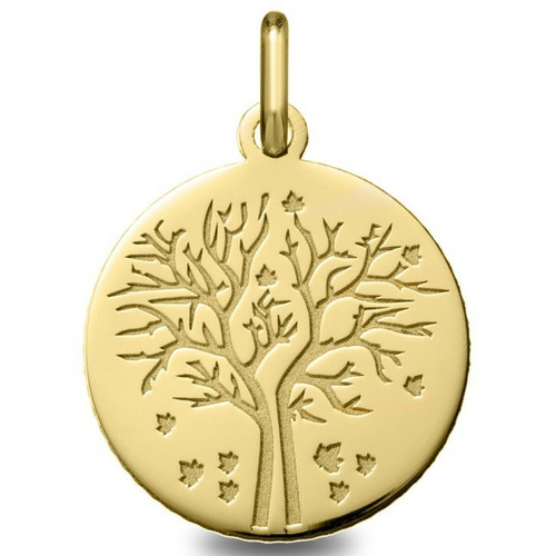 Argyor - Médaille Argyor 248400220 H1.8 cm - Or Jaune 750/1000 - Argyor