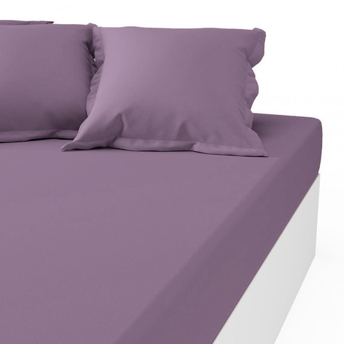 3S. x Tertio (Nos Unis) - Drap-housse percale de coton TERTIO® - violet - Draps housse 180 x 200 cm