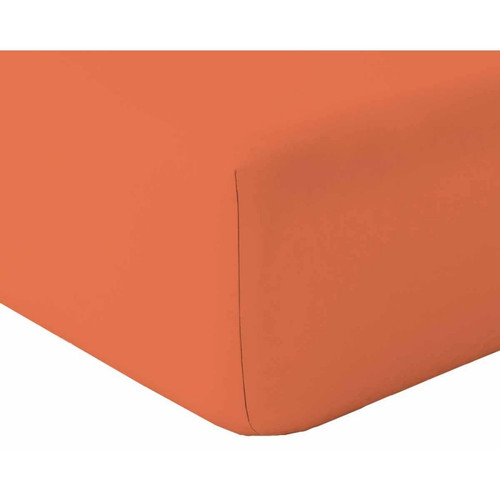 Toison d’or - Drap housse orange - Parures de lit 200 x 200 cm