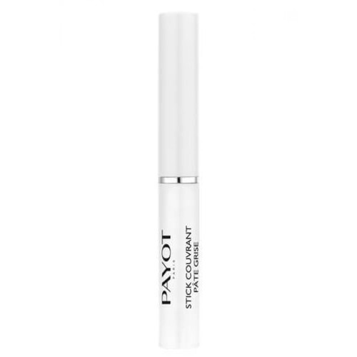 Payot - STICK COUVRANT PATE GRISE - Maquillage homme