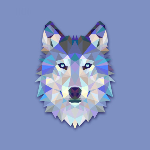3S. x Home - Tableau Animal Design Blue Wolf 60x60 - Tableau Et Toile Design