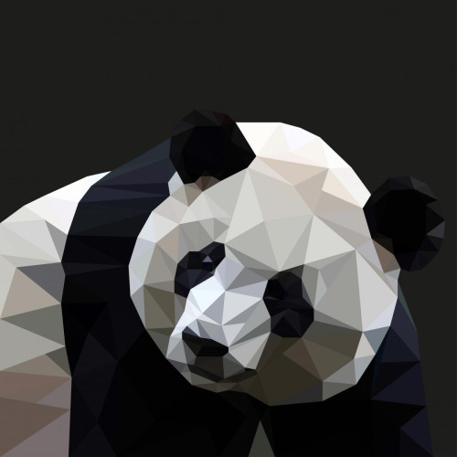3S. x Home - Tableau Pattern Panda 80x80 - La déco