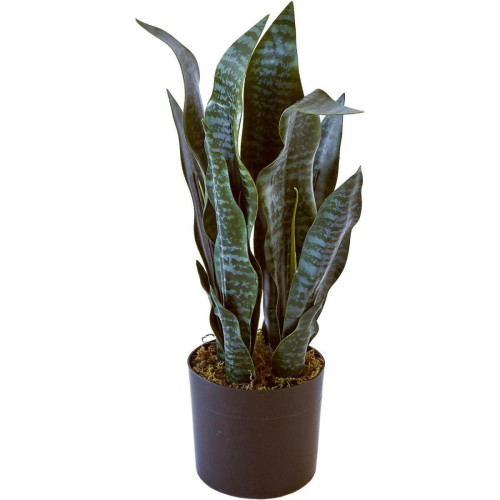 Plante artificielle avec pot noir Olla Vert  Vert 3S. x Home Meuble & Déco