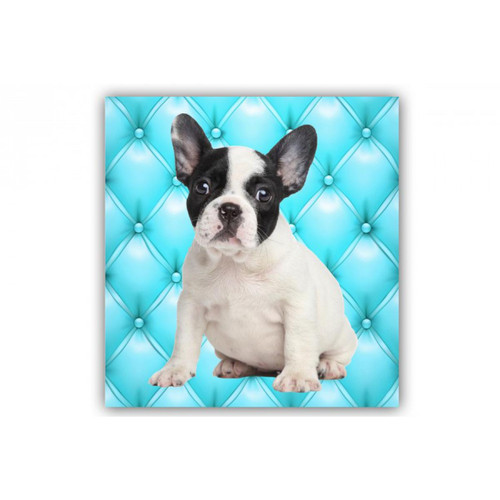 3S. x Home - Tableau Animaux Chien Bulldog Fond Bleu Turquoise Capitonné 50X50 cm - Tableau, toile