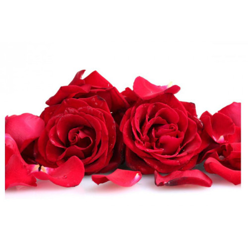 3S. x Home - Tableau Floral Rose et Pétales L.80 x H.55 cm - Saint Valentin Linge de maison