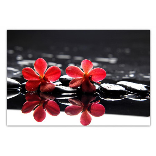 Tableau Floral Fleurs Rouges Sur Fond Noir 80  x  55 cm