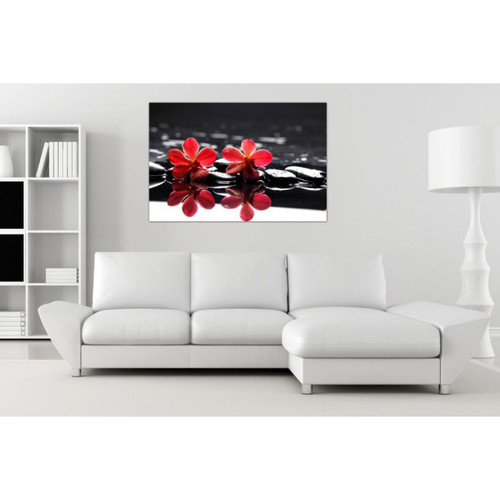 Tableau Floral Fleurs Rouges Sur Fond Noir 80  x  55 cm 3S. x Home