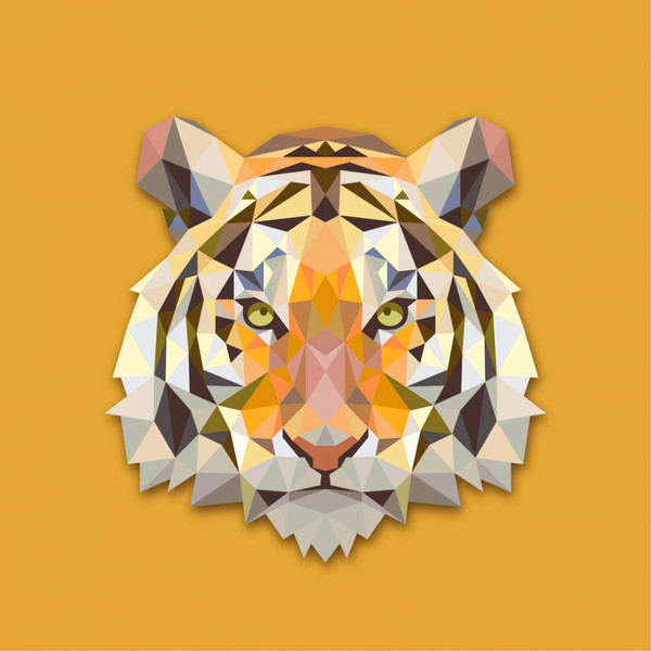 Tableau Animaux Tigre Orange 60X60 Orange 3S. x Home Meuble & Déco