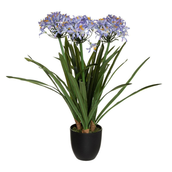 Plante artificiel Agapanthe H 66 cm Pots de fleurs, jardinières