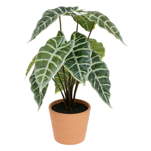 Plante Artificielle Alocasia "Soleya" 43cm Vert Vert 3S. x Home Meuble & Déco
