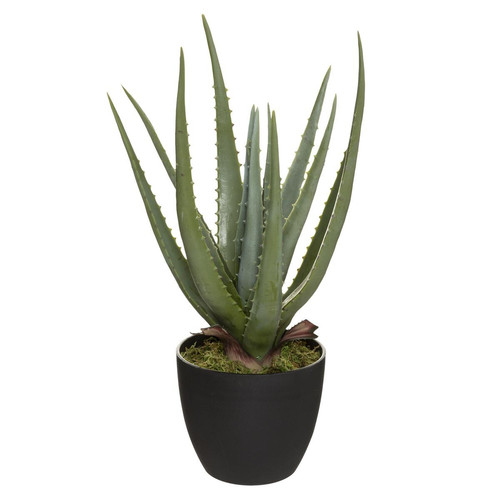 3S. x Home - Aloe Real Touch H44 - 3S. x Home meuble & déco