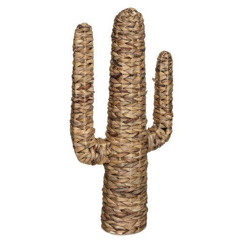Cactus Grand Modèle Haci Beige 3S. x Home Meuble & Déco