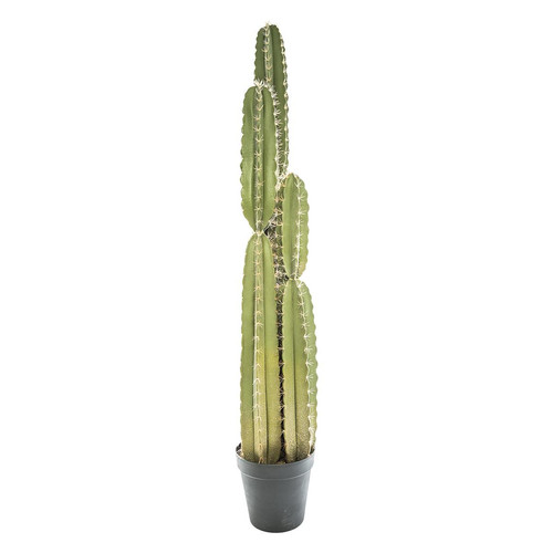 Cactus Pin Vert 3S. x Home Meuble & Déco