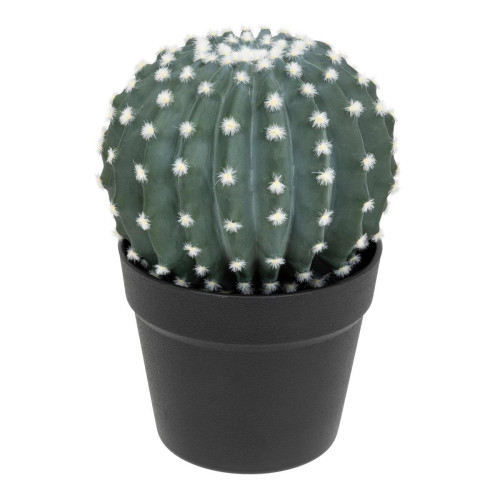 3S. x Home - Cactus Rond Pot Plastique RAN H25 - La Déco Design