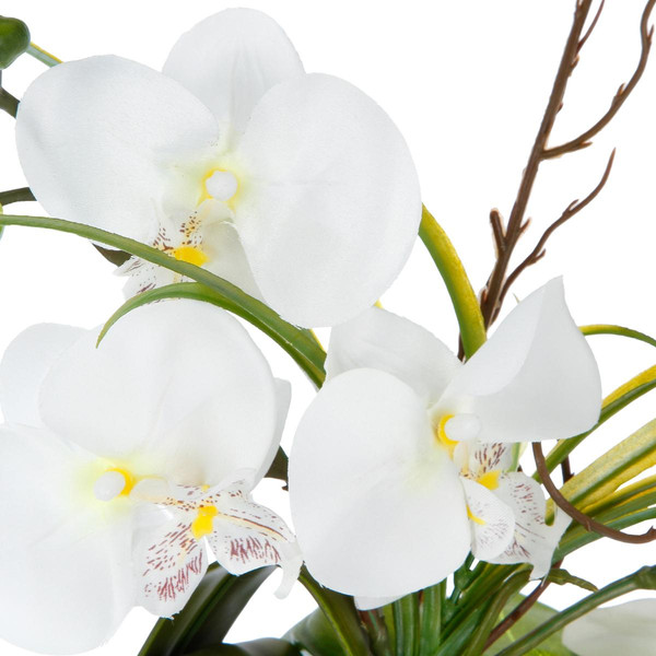 Composition d'orchidées avec vase céramique H44 noir 3S. x Home