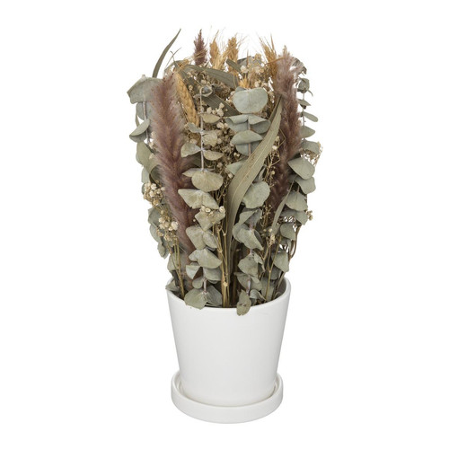 3S. x Home - Compositions fleurs séchées en pot céramique blanc - Plante artificielle