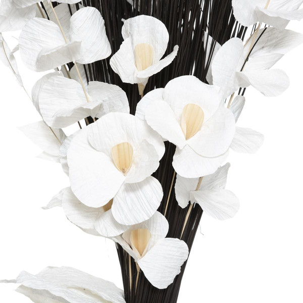 Fagot Orchid Blanc / NR H 100 3S. x Home