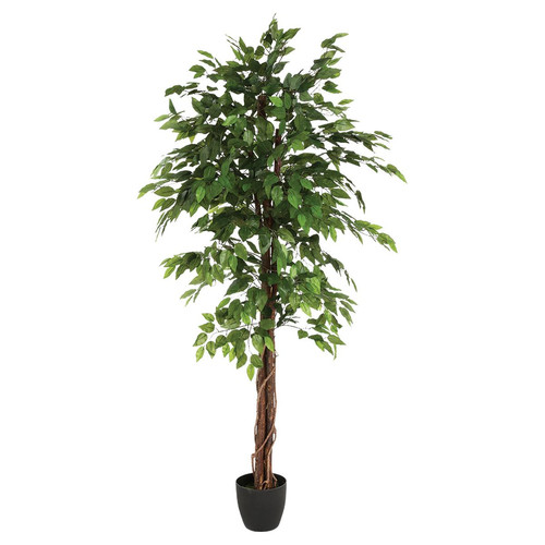 3S. x Home - Ficus artificiel en pot H180 - Plante artificielle