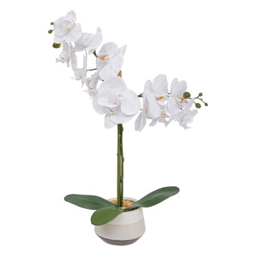 3S. x Home - Orchidée artificielle "Clera" H52cm blanc - Nouveautés Meuble Et Déco Design