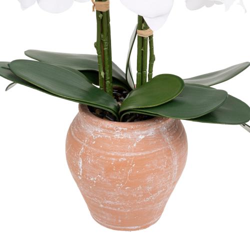 Orchidée artificielle avec pot en céramique "Dena" rose terracotta 3S. x Home