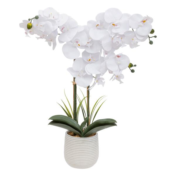 Orchidée artificielle Blanche "Riva"  Blanc 3S. x Home Meuble & Déco