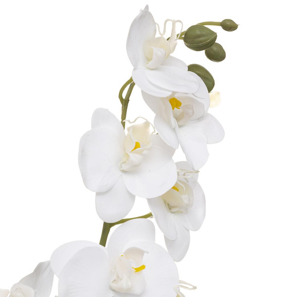 Orchidee Pot Céramique Reactive modèle A H 45  3S. x Home