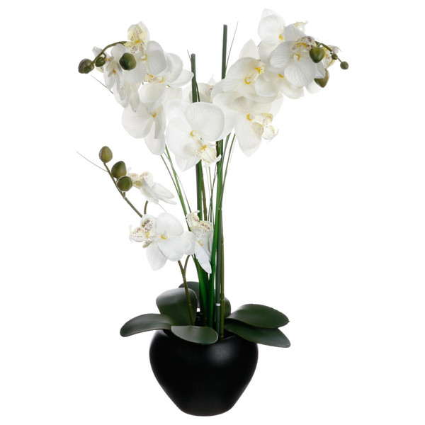 Orchidée vase céramique noir H.53 3S. x Home Meuble & Déco