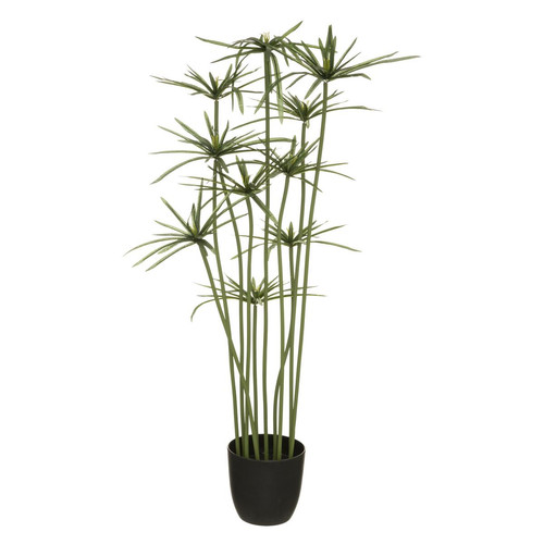 3S. x Home - Papyrus H 120 - Plante artificielle
