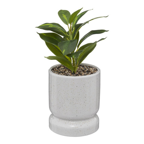 3S. x Home - Plante avec pot en céramique "Reactive" H30cm - Plante artificielle