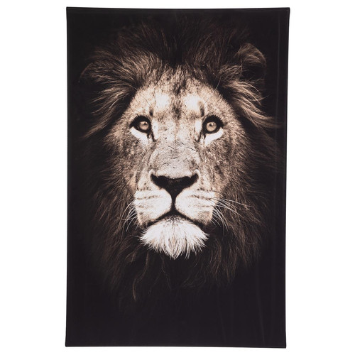 Toile Imprimé Animaux lion 75 x 115  Multicolore 3S. x Home Meuble & Déco