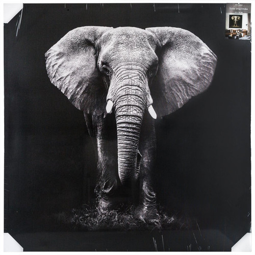 Toile imprimée éléphant 100X100 Noir  3S. x Home