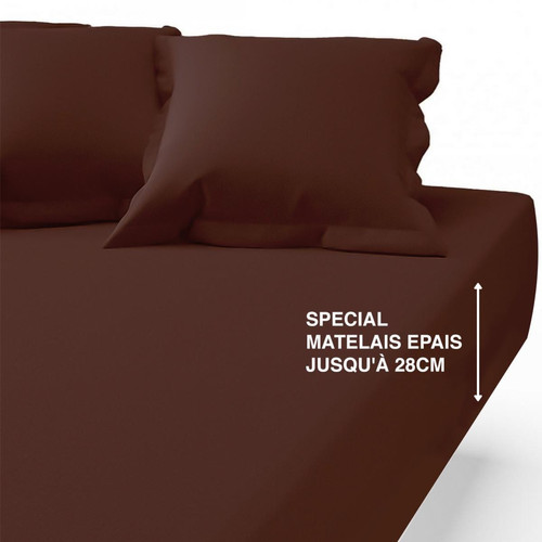 3S. x Tertio (Nos Unis) - Drap-housse  grand bonnet coton TERTIO® - Chocolat - Linge de lit marron