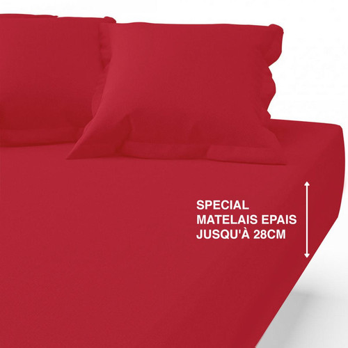 3S. x Tertio (Nos Unis) - Drap-housse grand bonnet polycoton TERTIO® - Rouge Carmin - Linge de lit rouge