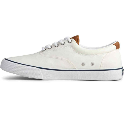 Baskets homme Sperry