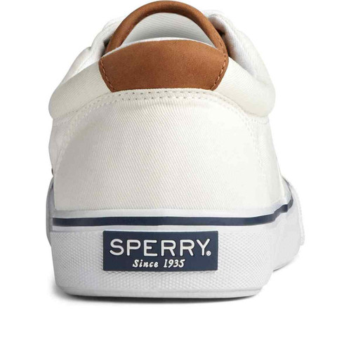 Chaussures Vulcanisée Pour Homme STRIPER II CVO - Coton blanc Sperry