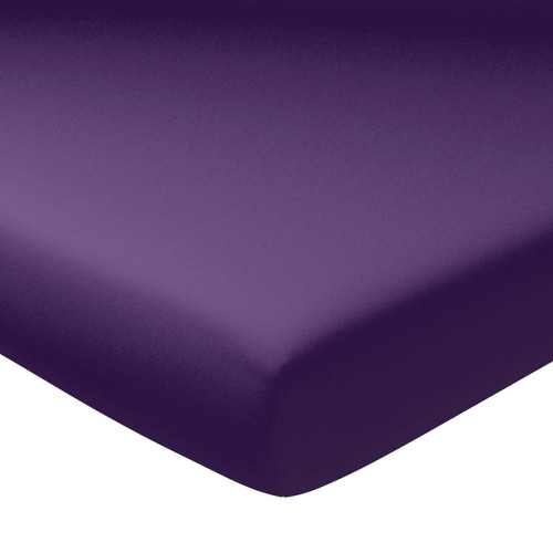 Becquet - Drap Housse Violet - Draps housse 140 x 190 cm ou 140 x 200 cm