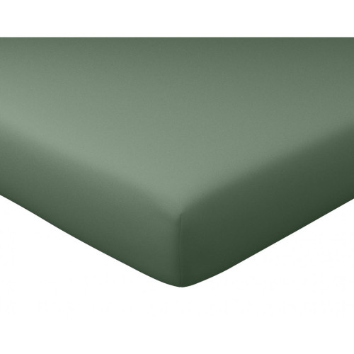 Becquet - Drap-housse JULIE vert en percale de coton - Draps housse 140 x 190 cm ou 140 x 200 cm