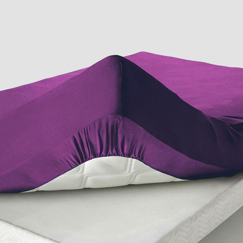 Becquet - Drap-housse Super grand Bonnet - Draps housse violet