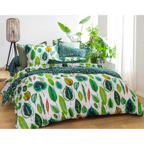 Becquet - Taie de traversin  OKAZIA vert en coton  - Taies d'oreillers imprimées